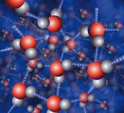 Hydrogen bonding in water molecule