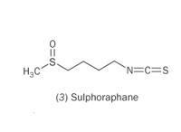 (3) sulphoraphane