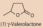 Structure of  γ-Valerolactone