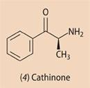 (4) Cathinone