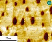 Figure 5(a) - STM image of a self-assembled monolayer of C8 thiol