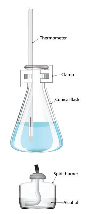 An graphic showing a therometer in a conical flask containing water. Underneath is a spirit burner, containing an alcohol