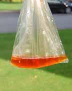 Orange liquid in the bag