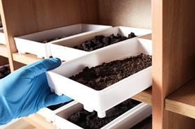 Photo of a scientist taking a soil sample