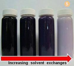 Figure 5 -Photograph demonstrating the effect of solvent exchanging on the expansion of PVA