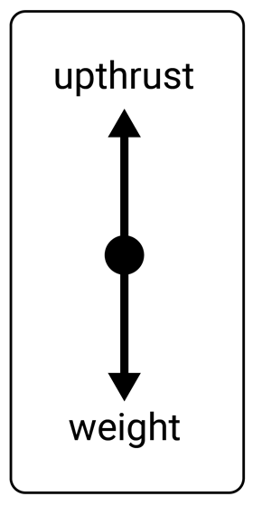 A diagram showing upthrust pulling upwards and gravity pulling downwards