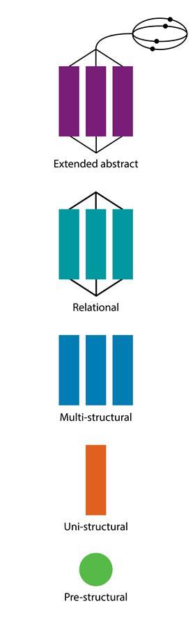 Diagram of the entire five-level solo taxonomy