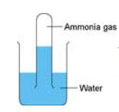 A diagram showing the equipment required for dissolving ammonia in water