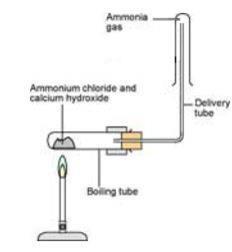A diagram showing the equipment required for producing and collecting ammonia gas