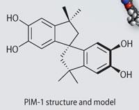 Structure of PIM