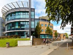 Swansea university