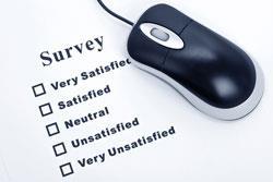 Survey questions