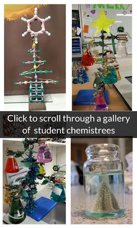 Student chemistrees