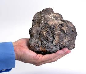 Coprolite