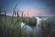 View on misty swamp at sunrise in the netherlands