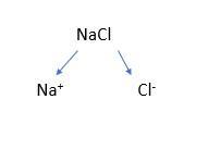A diagram showing NaCl as ions