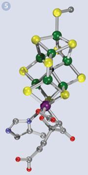 Figure 5 - The Fe7MoS9 metallo-core of the nitrogenase cofactor