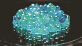 EiC Ex Chem - seaweed spheres sodium alginate