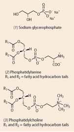 Sodium glycerophosphate, Phosphatidylserine and Phosphatidylcholine chemical structures