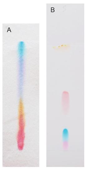 Comparison of paper and thin layer chromatography plates