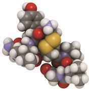 Oxytocin