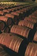 Barrels of wine