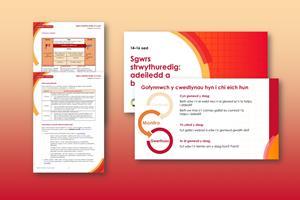 Tudalennau enghreifftiol sy'n ffurfio'r adnodd hw