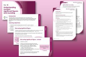 Example pages from the resource on a pink background