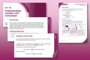Example pages from the resource on a pink background