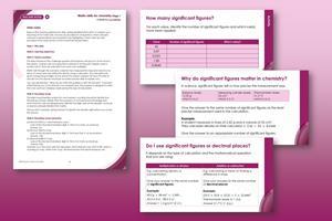 Example pages from the resource on a pink background