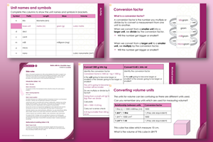 Example pages from the resource on a pink background
