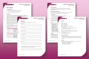 Example pages from the resource on a pink background