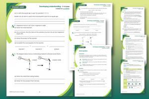 Preview of worksheets included in this resource