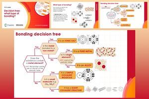 Example slides from this resource showing a bonding decision tree