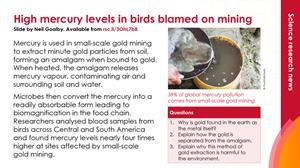 Preview image tropical birds bear brunt of gold mining impact