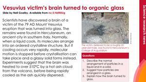 Volcanic victim index image