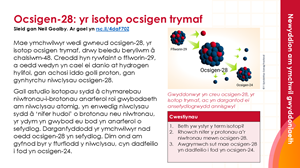 Tudalennau enghreifftiol sy'n ffurfio'r adnodd hwn