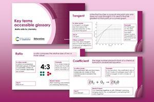 Example slides from the accessible glossary resource