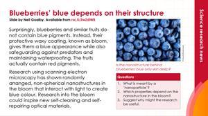 Preview image Bluberry nanostructures 