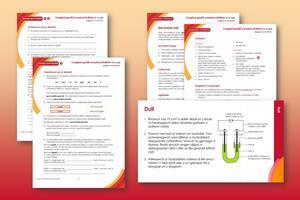 Electrolysis of brine index image