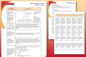 An example of pages from the resource including a student worksheet and example answers