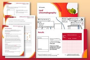 A preview showing a selection of the resource pages available in this resource, on a red and orange background