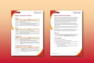 A collection of screenshots showing teacher notes and student sheet