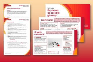 A collection of screenshots showing teacher notes, student slides and student sheet