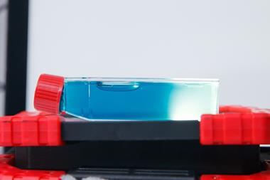A bottle with a blue liquid lying on an LED flat torch where the light from the torch goes through the liquid it has turned colourless