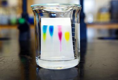 A beaker containing a thin layer chromatography plate with colourful spots on it