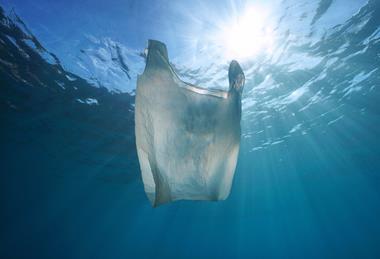 A plastic bag floating in water with the sun shining through