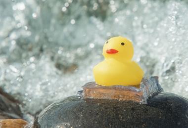 A rubber duck stuck to a rock with waves pounding it
