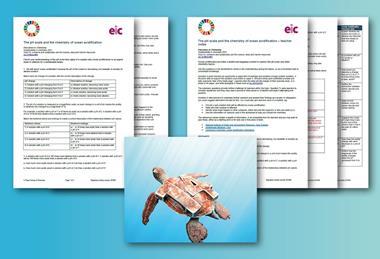 An image showing the pages available in the downloads with a turtle with the number 14 on its shell in the foreground.
