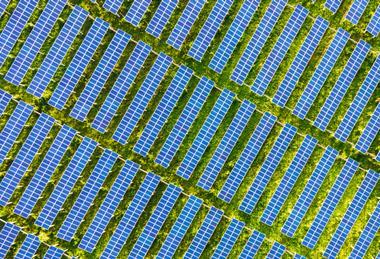 A birds-eye view of many rows of blue solar panels with green vegetation visible between them